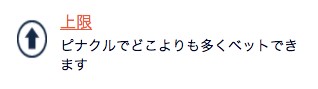 ピナクルスポーツ-ベッド上限額が高く2